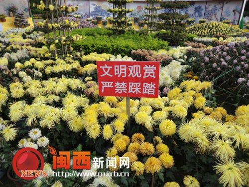 不少展區都設置了提示牌