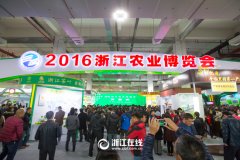 看展覽、嘗美食、囤年貨 2016浙江農博會